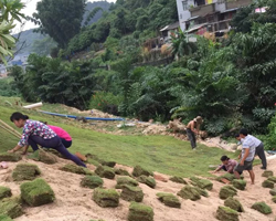 廣州大學城綠化工程 (2)